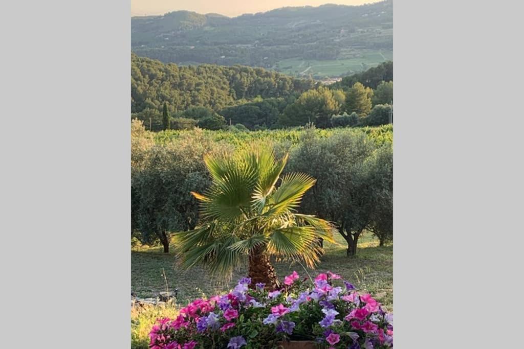 La Venturonne Appartement Neuf Rez De Jardin 45 M2 Vue Mer Et Vignes 10 Mn Des Plages Le Beausset Dış mekan fotoğraf