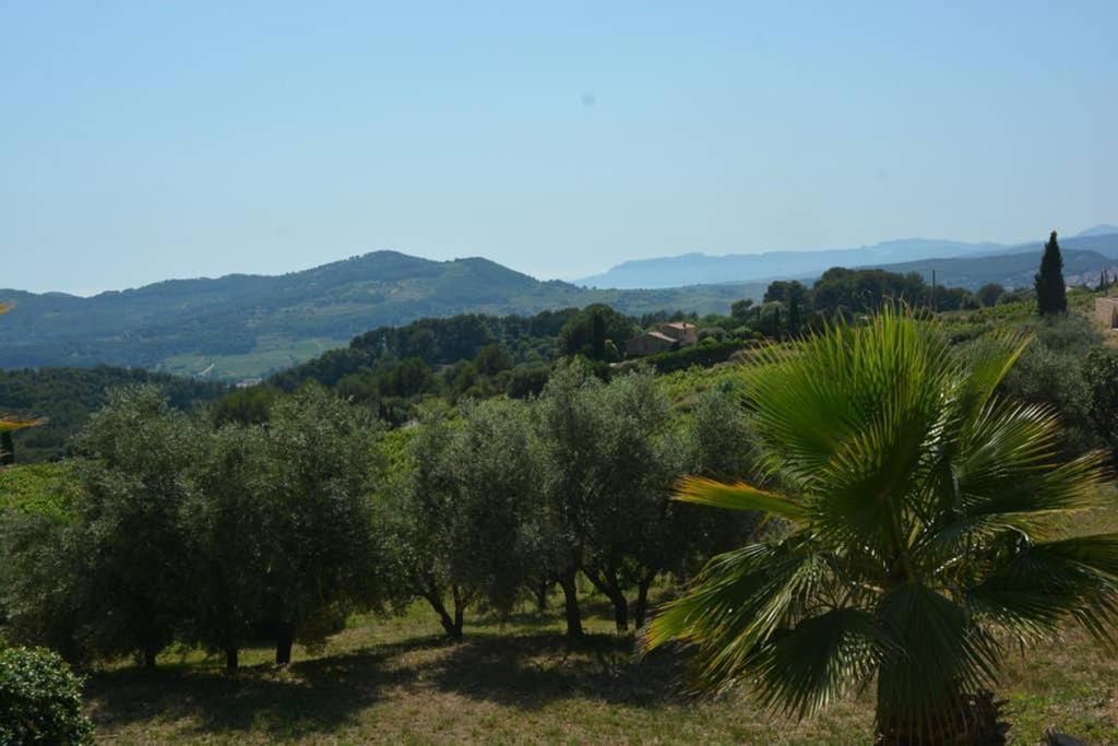 La Venturonne Appartement Neuf Rez De Jardin 45 M2 Vue Mer Et Vignes 10 Mn Des Plages Le Beausset Dış mekan fotoğraf
